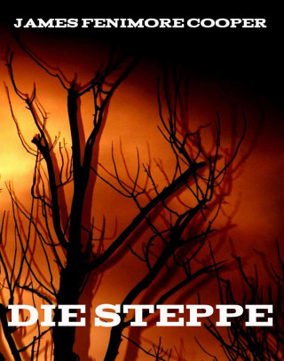 James Fenimore Cooper: Die Steppe