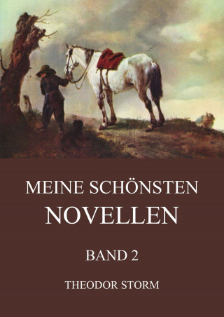 Theodor Storm: Meine schönsten Novellen, Band 2