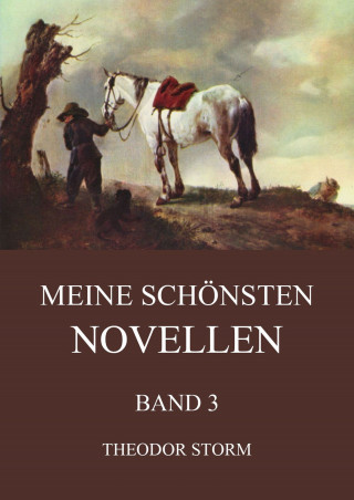 Theodor Storm: Meine schönsten Novellen, Band 3