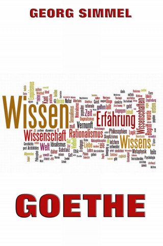 Georg Simmel: Goethe