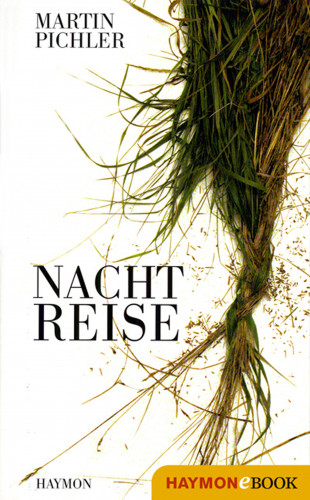 Martin Pichler: Nachtreise