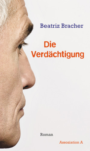 Beatriz Bracher: Die Verdächtigung