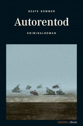 Beate Sommer: Autorentod