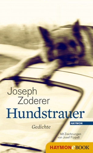 Joseph Zoderer: Hundstrauer