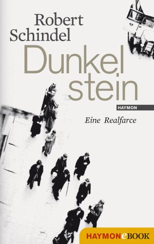 Robert Schindel: Dunkelstein