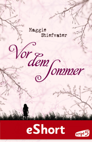 Maggie Stiefvater: Vor dem Sommer