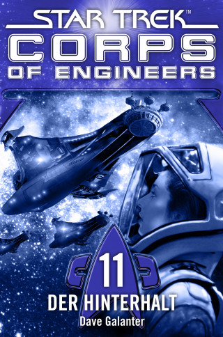 Dave Galanter: Star Trek - Corps of Engineers 11: Der Hinterhalt