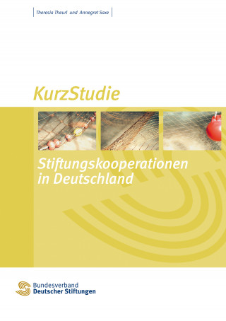 Theresia Theurl, Annegret Saxe: Stiftungskooperationen in Deutschland