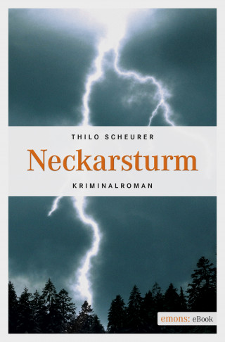 Thilo Scheurer: Neckarsturm