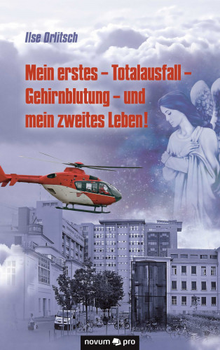 Ilse Orlitsch: Mein erstes - Totalausfall - Gehirnblutung - und mein zweites Leben!