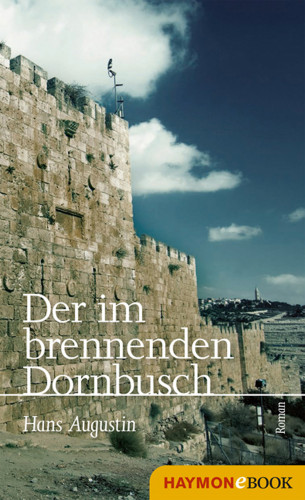 Hans Augustin: Der im brennenden Dornbusch