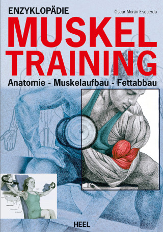 Oscar Moran Esqerdo: Enzyklopädie Muskeltraining