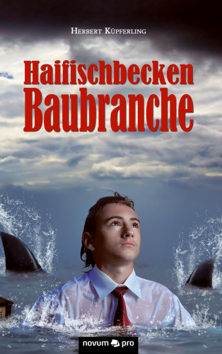 Herbert Küpferling: Haifischbecken Baubranche