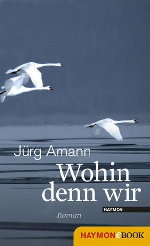 Jürg Amann: Wohin denn wir