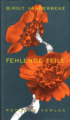 Birgit Vanderbeke: Fehlende Teile