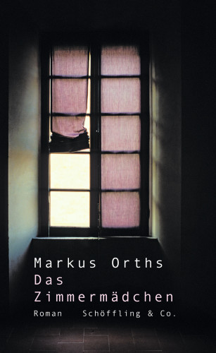 Markus Orths: Das Zimmermädchen