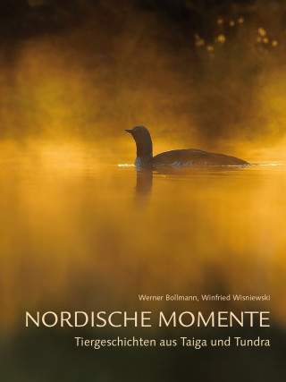 Werner Bollmann: Nordische Momente