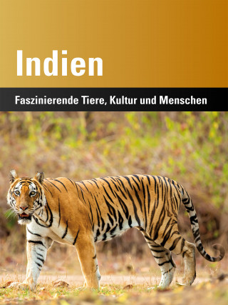 Harald Lydorf, Kerstin von Splényi, Harry P. Lux: Indien