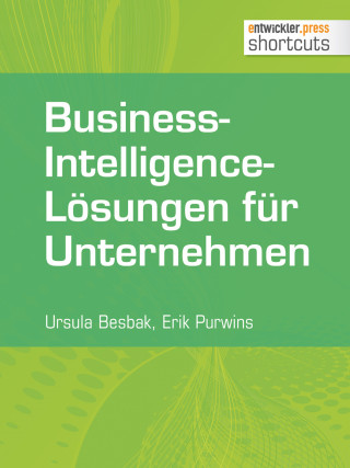 Erik Purwins, Ursula Besbak: Business-Intelligence-Lösungen für Unternehmen