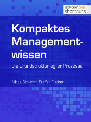 Niklas Schlimm, Steffen Fischer: Kompaktes Managementwissen