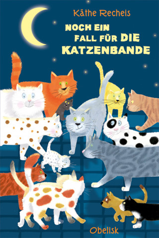 Käthe Recheis: Noch ein Fall für die Katzenbande