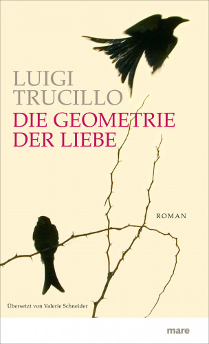 Luigi Trucillo: Die Geometrie der Liebe