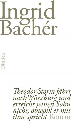 Ingrid Bachér: Theodor Storm fährt nach Würzburg und erreicht seinen Sohn nicht, obwohl er mit ihm spricht