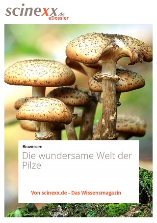 Nadja Podbregar: Die wundersame Welt der Pilze