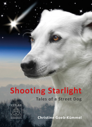 Christine Goeb-Kümmel: Shooting Starlight