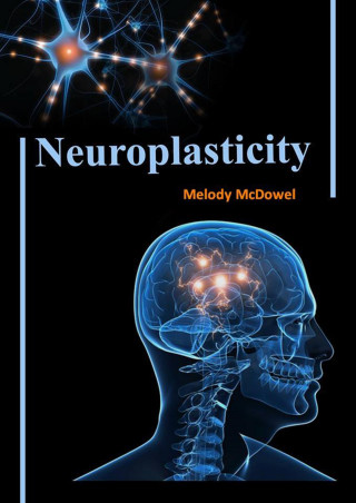 Melody MyDowel: Neuroplasticity