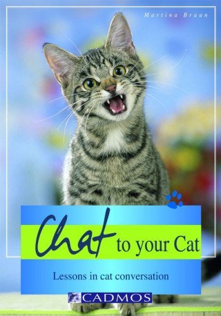 Martina Braun: Chat to your Cat