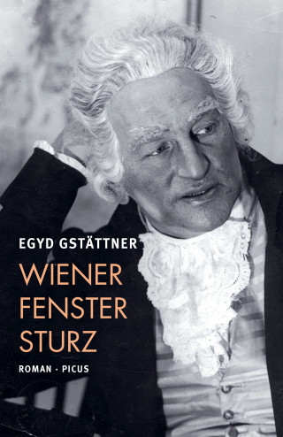 Egyd Gstättner: Wiener Fenstersturz