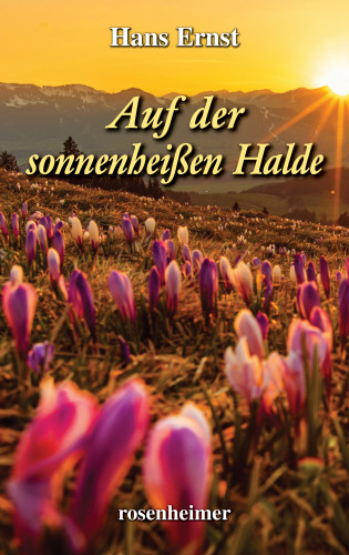 Hans Ernst: Auf der sonnenheißen Halde