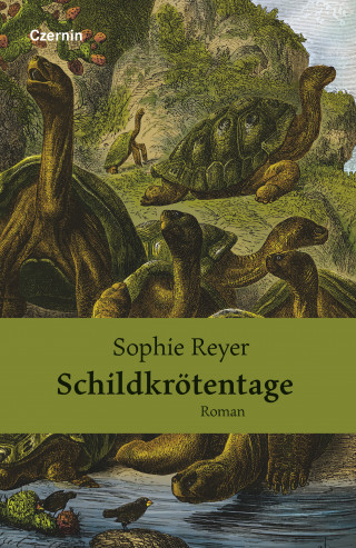 Sophie Reyer: Schildkrötentage