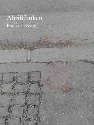 Franziska Krug: Abrißfunken
