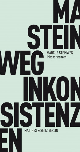 Marcus Steinweg: Inkonsistenzen