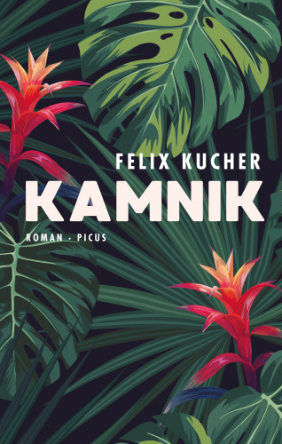 Felix Kucher: Kamnik