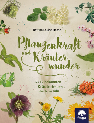 Bettina Louise Haase: Pflanzenkraft und Kräuterwunder