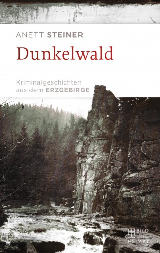Anett Steiner: Dunkelwald