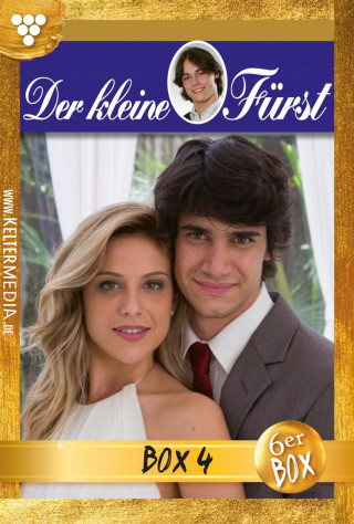 Viola Maybach: E-Book 16-21