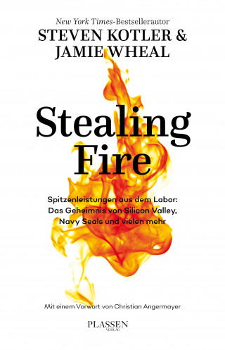 Steven Kotler, Jamie Wheal: Stealing Fire
