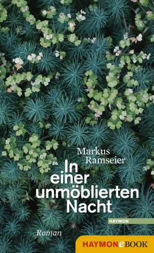 Markus Ramseier: In einer unmöblierten Nacht