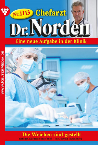 Patricia Vandenberg: Die Weichen sind gestellt