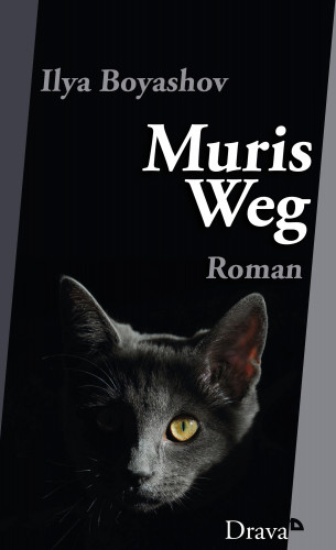 Ilya Boyashov: Muris Weg