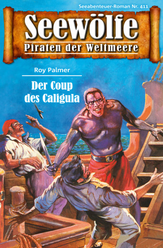 Roy Palmer: Seewölfe - Piraten der Weltmeere 411