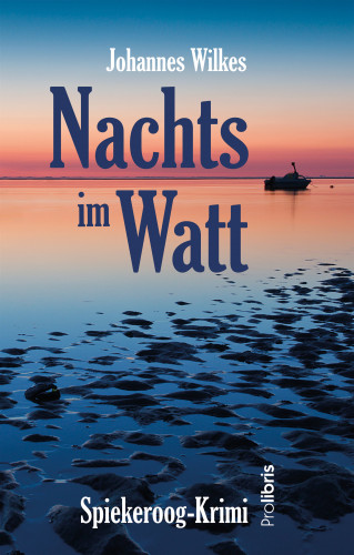 Johannes Wilkes: Nachts im Watt