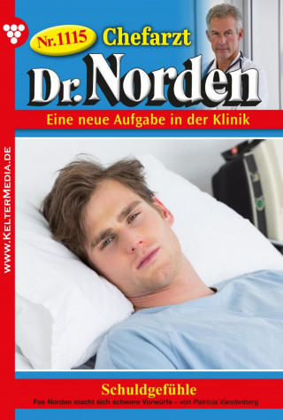 Patricia Vandenberg: Schuldgefühle