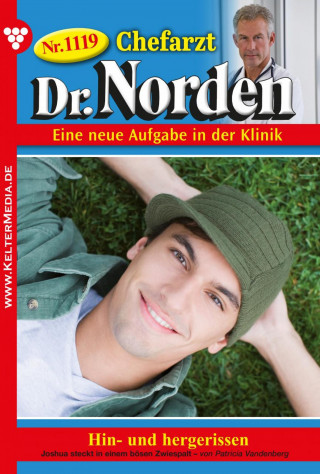 Patricia Vandenberg: Hin- und hergerissen