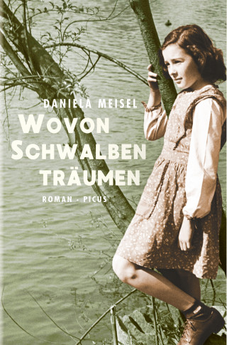 Daniela Meisel: Wovon Schwalben träumen