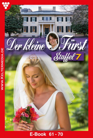 Viola Maybach: E-Book 61-70